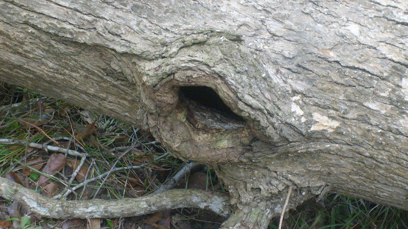 S6304546.JPG