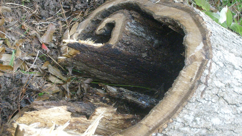 S6304538.JPG