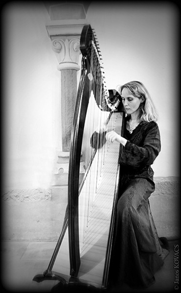 The Harph Player The Harph Player