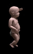 baby4