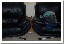 ozcouch