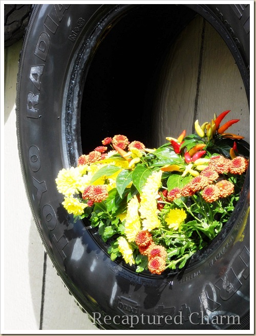 fall tires 013a