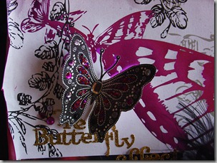 Détails---Papillon-Strass Détails---Papillon-Strass