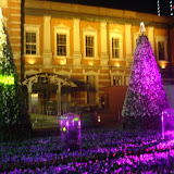 New Year Celebration