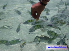 Tailandia 2004