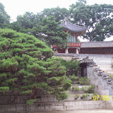 100_0376.jpg