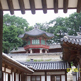 100_0377.jpg