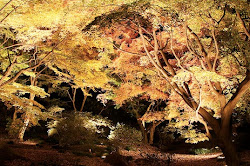 árbol del futuro
