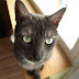 PC187649.JPG