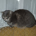 PC247692.JPG