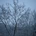 PC287818.JPG