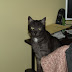 P1203666.JPG
