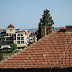 P6275632.JPG