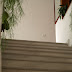 P7065804.JPG