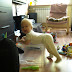 P9016322.JPG