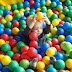 P9066365.JPG