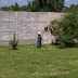 P5299132.JPG