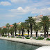 DSCN8915.JPG