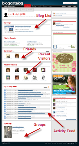 [BlogCatalogSS13.png]