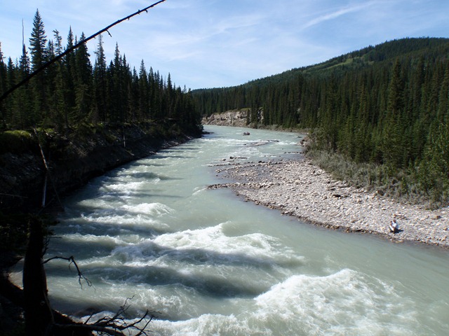 [P8200094[3].jpg]