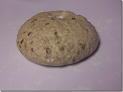 BBA-sunflower-seed-rye 020