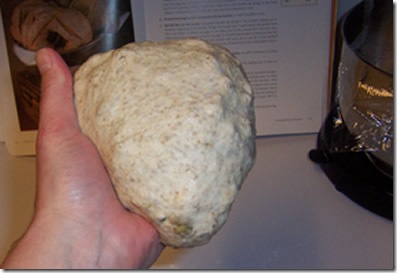 BBA-sunflower-seed-rye 022