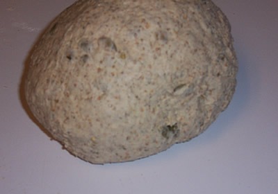 [BBA-sunflower-seed-rye 016[4].jpg]