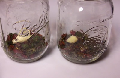 [pickled-carrots 005[4].jpg]