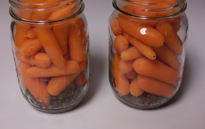 [pickled-carrots 006[4].jpg]