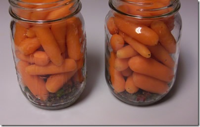 pickled-carrots 006