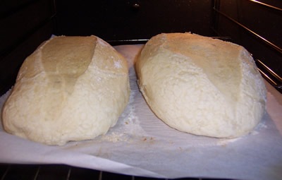 [BBA-vienna-bread 028[4].jpg]