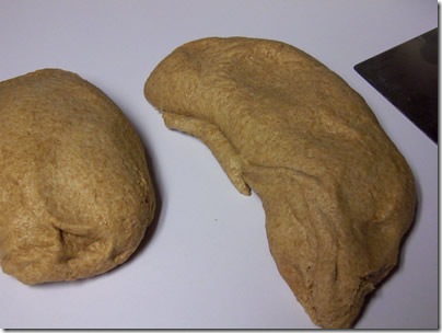 BBA-whole-wheat-bread 020