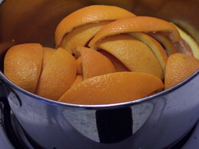 [CandiedOrangePeel0044.jpg]