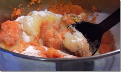 Carrot-Marmalade 2