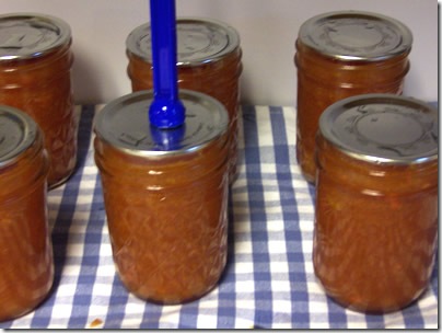 Carrot-Marmalade 011