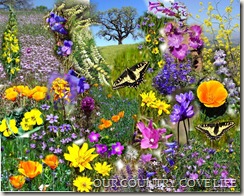 spring-flowers spring-flowers