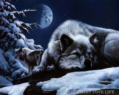 [KD0804~Sleeping-Wolf-and-Lookout-Posters[4].jpg]