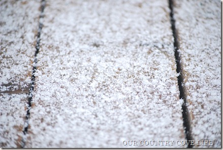 DSC_0003 DSC_0003