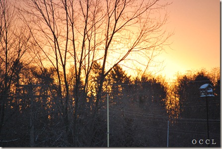 DSC_0002 DSC_0002