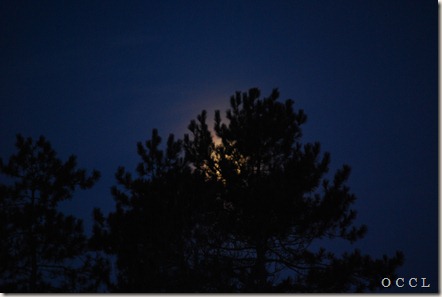 DSC_0007 DSC_0007