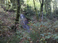 Sand Stone Falls Photo