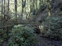 Wooden Bridge Photo