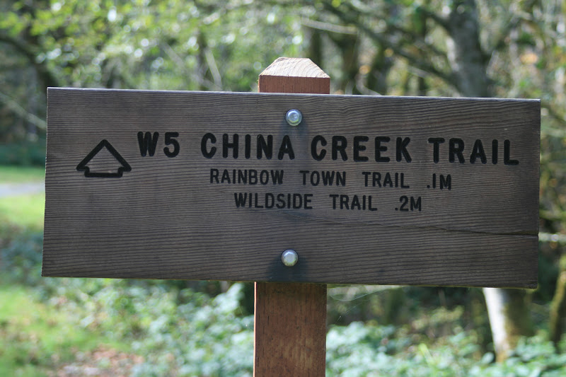 China Creek Trail China Creek Trail