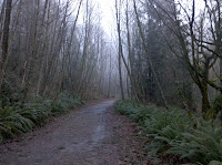 Red Town Trail Photo