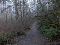 Trail on a Foggy Day Photo