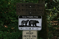 Wildside/Red Town Trail Fork Photo