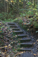 Wooden Stairs Photo
