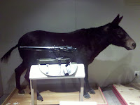 IMG_20101111_144144.jpg Photo