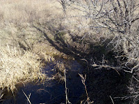 IMG_20101205_152814.jpg Photo
