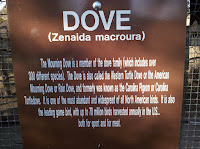 IMG_20101205_160031.jpg Photo